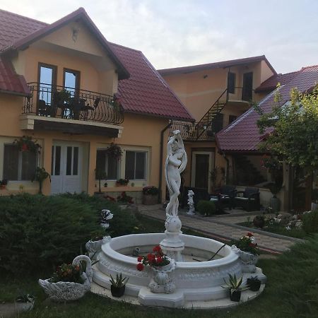 Pensiunea Darius Costinesti Exterior foto