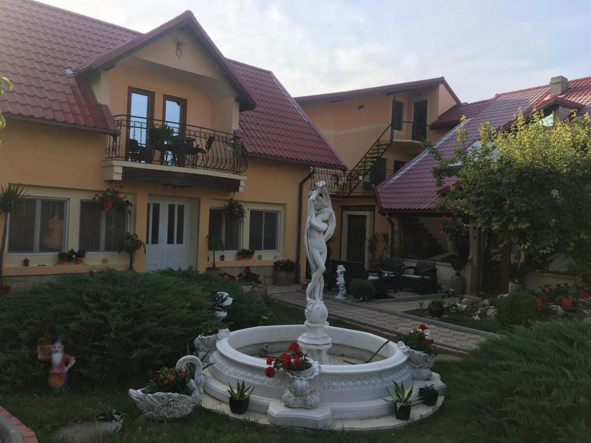 Pensiunea Darius Costinesti Exterior foto